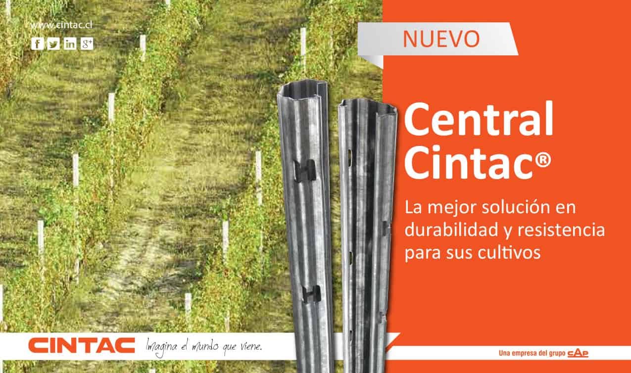 Central Cintac