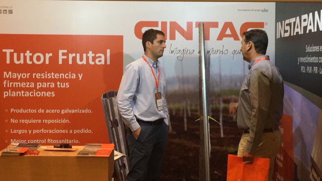 cintac - feria de nueces - 03